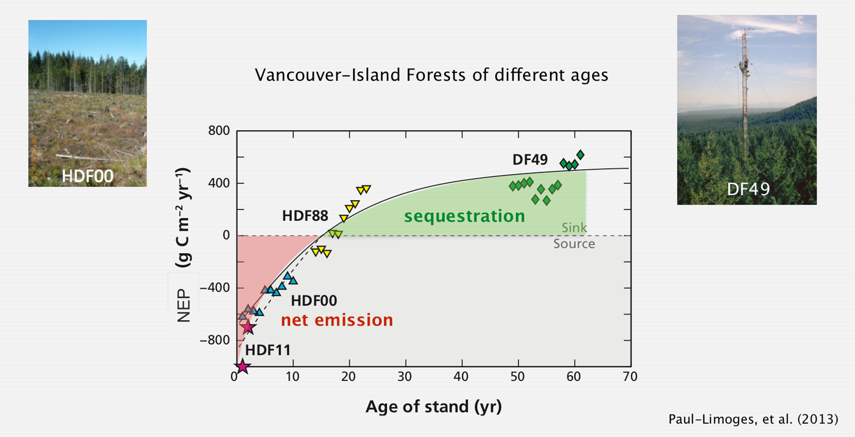 Microscale Weather And Climate - Plant-atmosphere Interactions